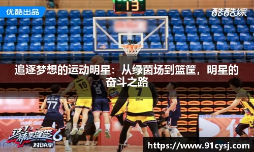 追逐梦想的运动明星：从绿茵场到篮筐，明星的奋斗之路